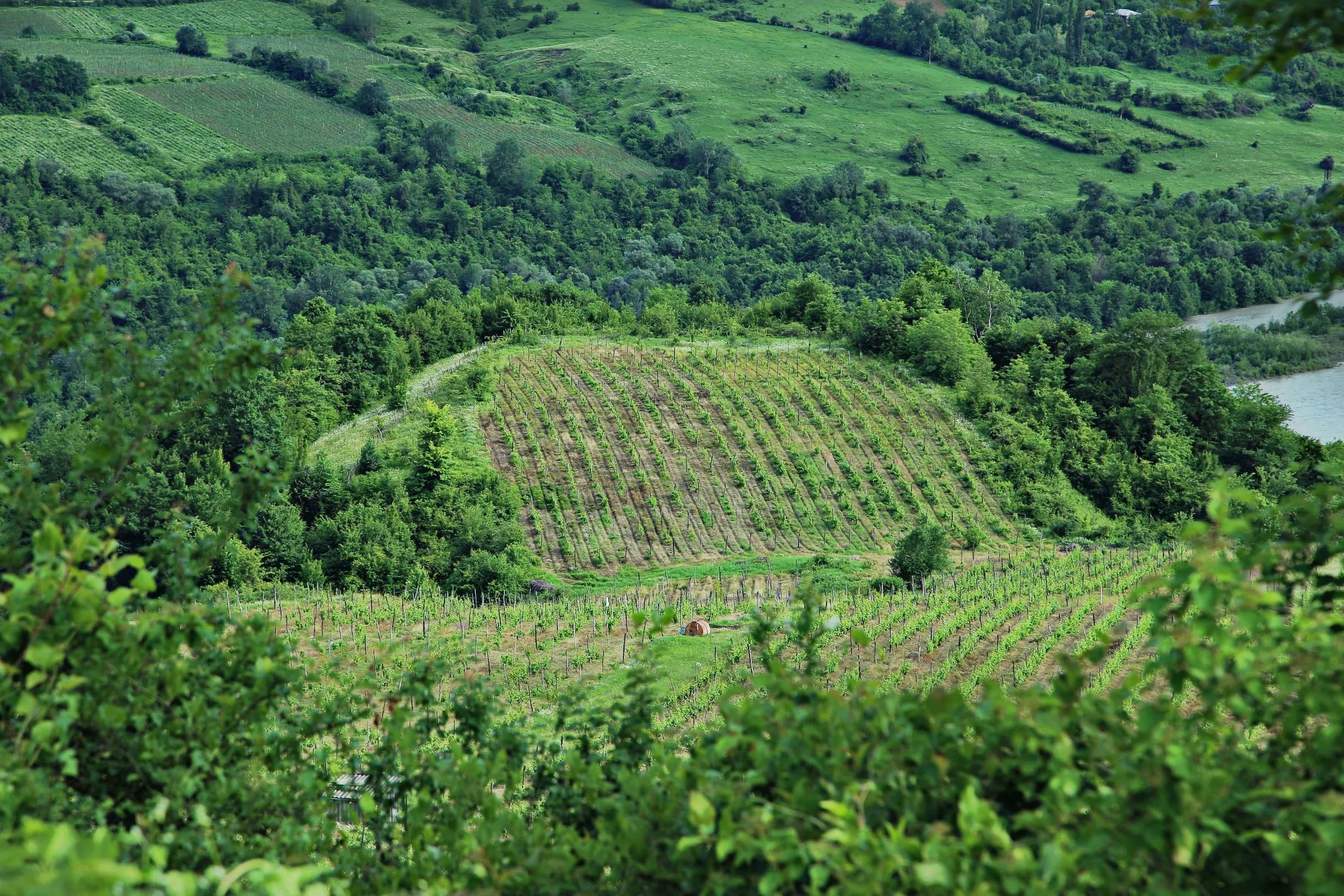 Racha-Lechkhumi: A Georgian mountain paradise