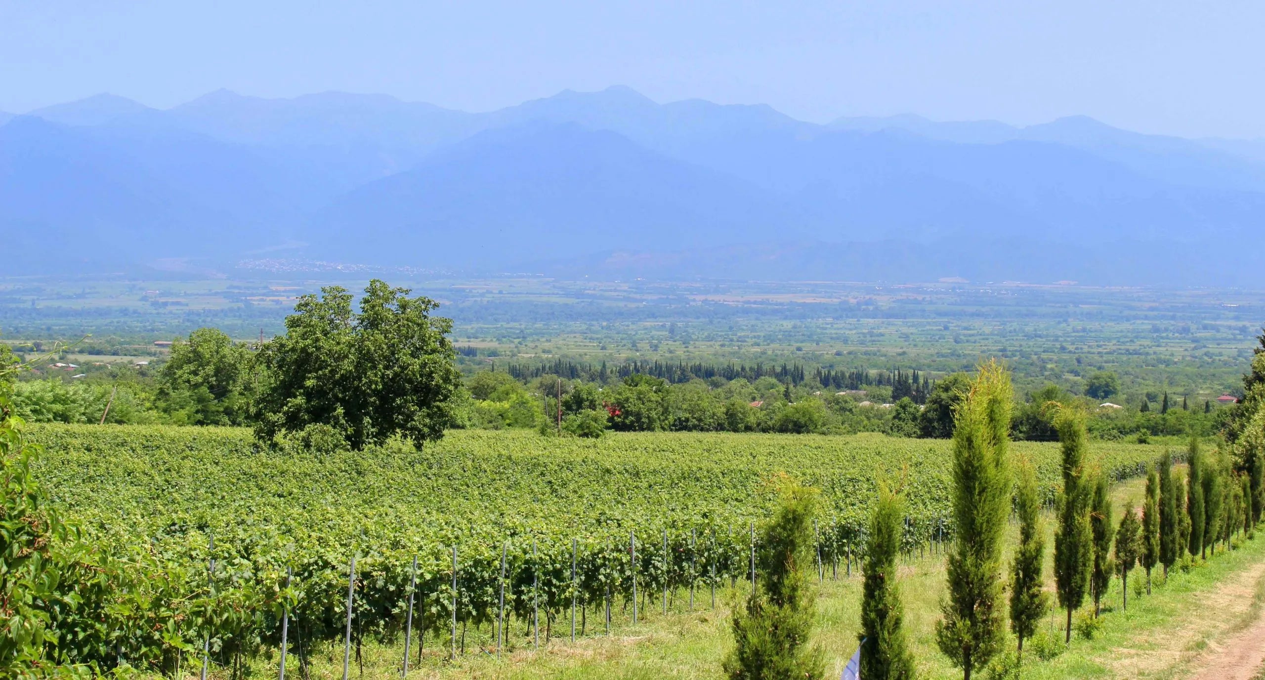 Kakheti – The homeland of Georgian Wine
